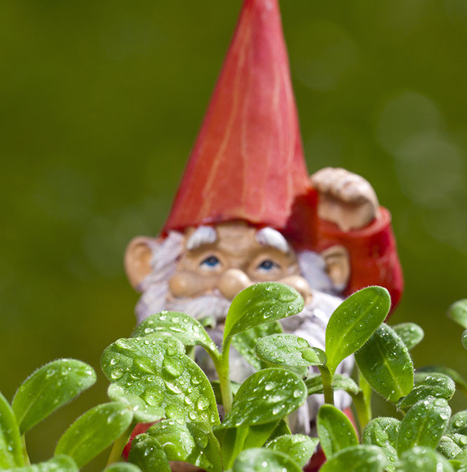 The Great Garden Heist (free short story)