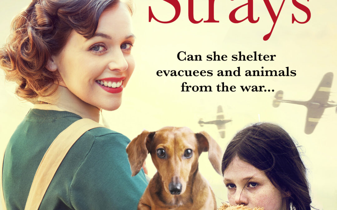 Avon to publish Edie’s Home for Strays, an uplifting wartime saga
